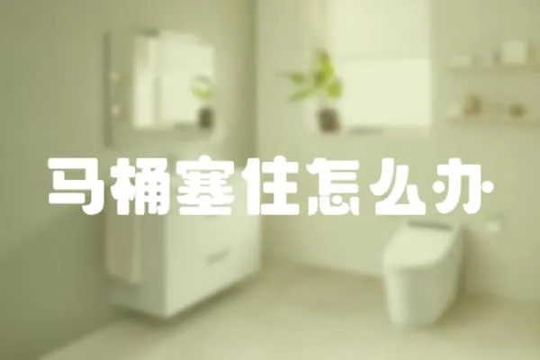 馬桶塞住怎么辦