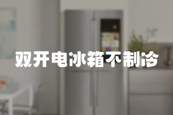 雙開電冰箱不制冷