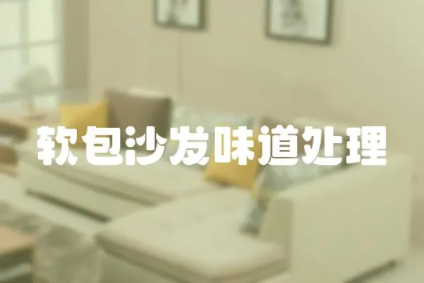 軟包沙發味道處理