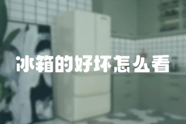 冰箱的好壞怎么看