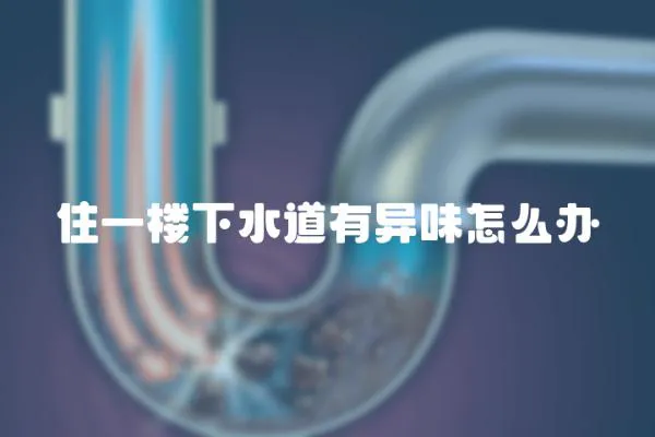 住一樓下水道有異味怎么辦