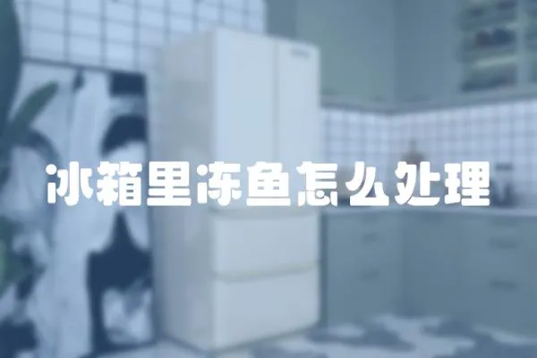 冰箱里凍魚怎么處理