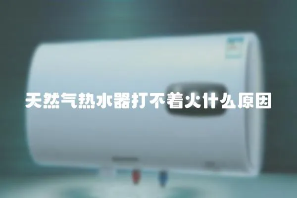 天然氣熱水器打不著火什么原因