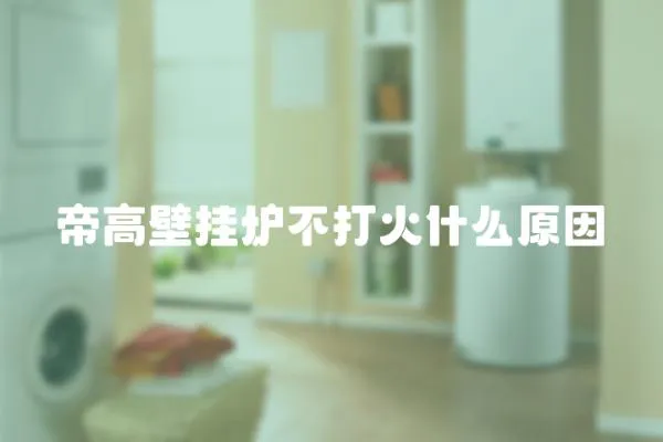 帝高壁掛爐不打火什么原因