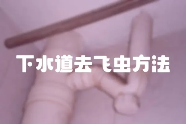 下水道去飛蟲方法