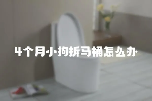 4個月小狗拆馬桶怎么辦