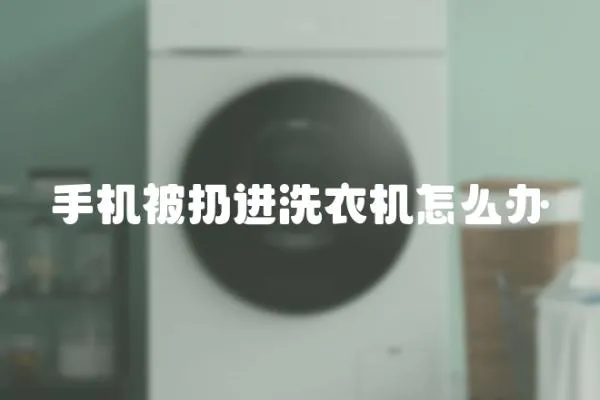 手機被扔進洗衣機怎么辦