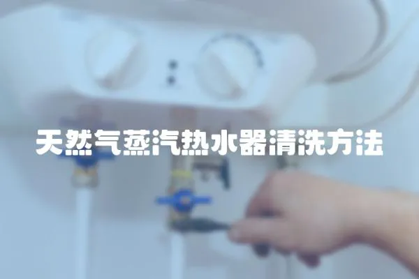 天然氣蒸汽熱水器清洗方法