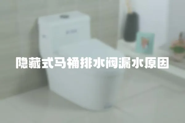 隱藏式馬桶排水閥漏水原因