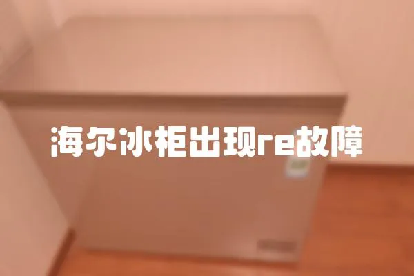 海爾冰柜出現re故障