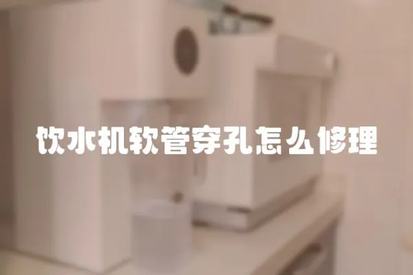 飲水機軟管穿孔怎么修理