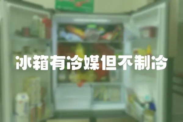 冰箱有冷媒但不制冷