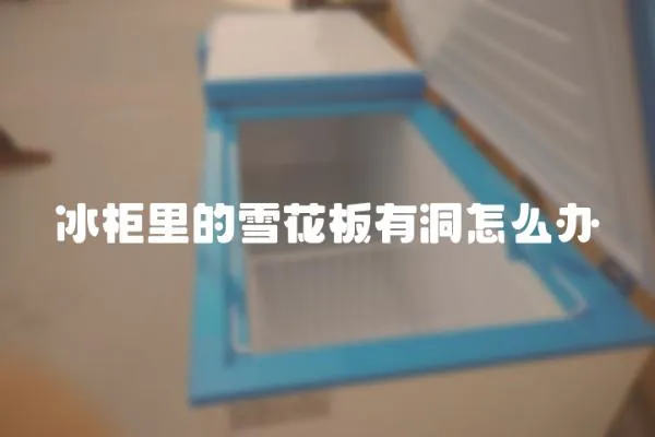 冰柜里的雪花板有洞怎么辦