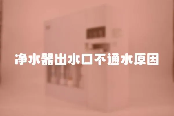 凈水器出水口不通水原因