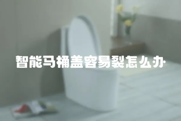 智能馬桶蓋容易裂怎么辦