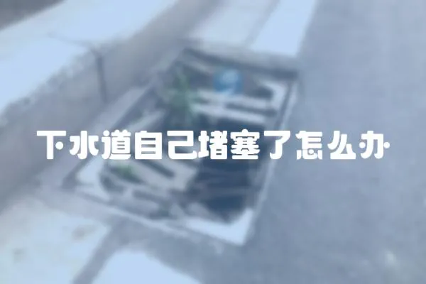 下水道自己堵塞了怎么辦