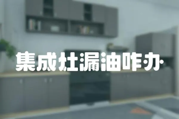 集成灶漏油咋辦