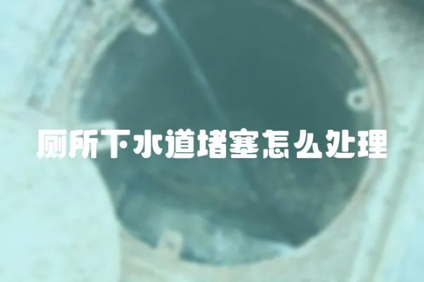 廁所下水道堵塞怎么處理