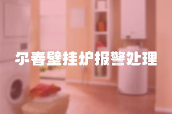爾春壁掛爐報警處理