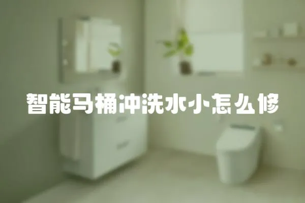 智能馬桶沖洗水小怎么修