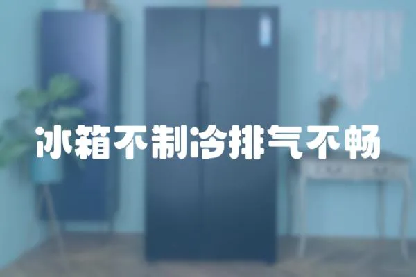 冰箱不制冷排氣不暢