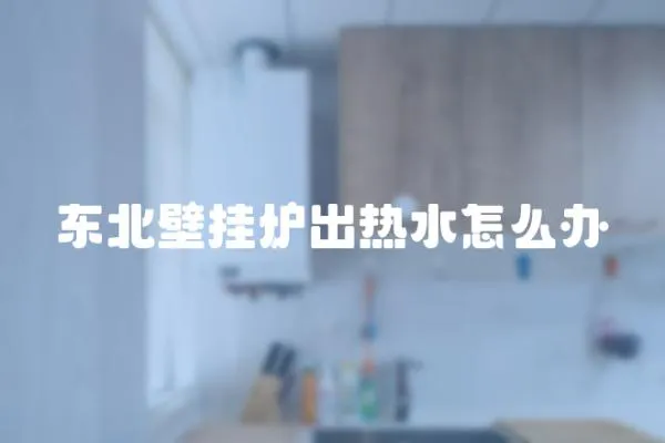 東北壁掛爐出熱水怎么辦