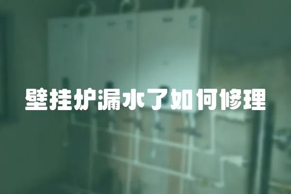 壁掛爐漏水了如何修理