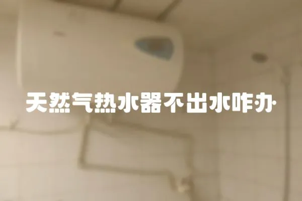 天然氣熱水器不出水咋辦