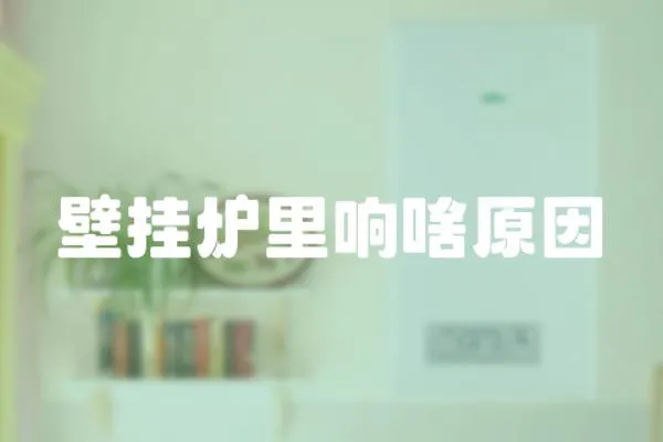 壁掛爐里響啥原因