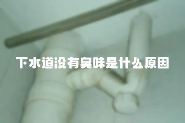 下水道沒有臭味是什么原因