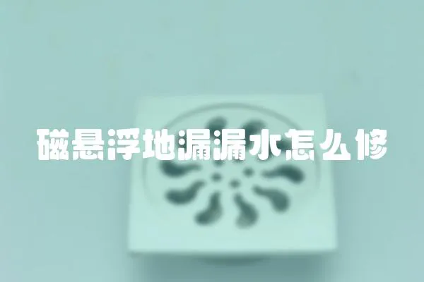磁懸浮地漏漏水怎么修