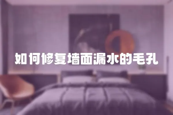 如何修復墻面漏水的毛孔