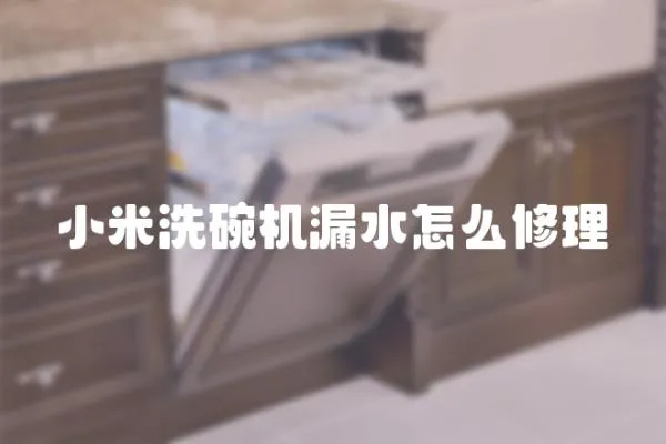 小米洗碗機(jī)漏水怎么修理