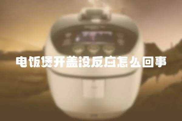 電飯煲開(kāi)蓋沒(méi)反應(yīng)怎么回事