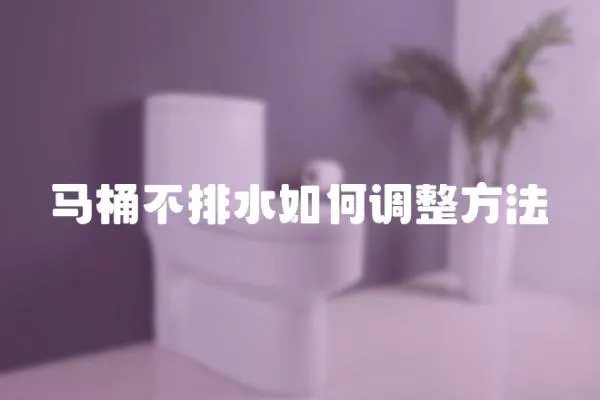 馬桶不排水如何調(diào)整方法