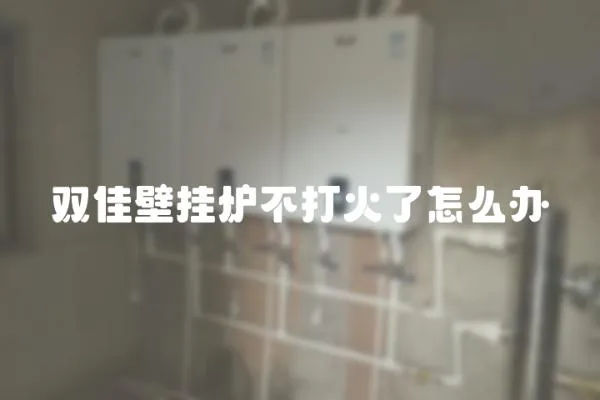 双佳壁挂炉不打火了怎么办