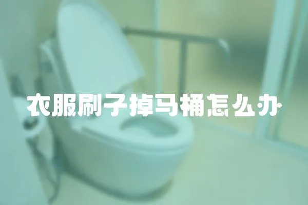 衣服刷子掉馬桶怎么辦