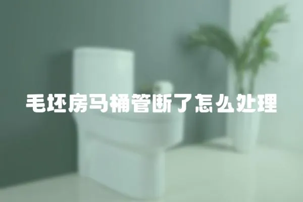 毛坯房馬桶管斷了怎么處理
