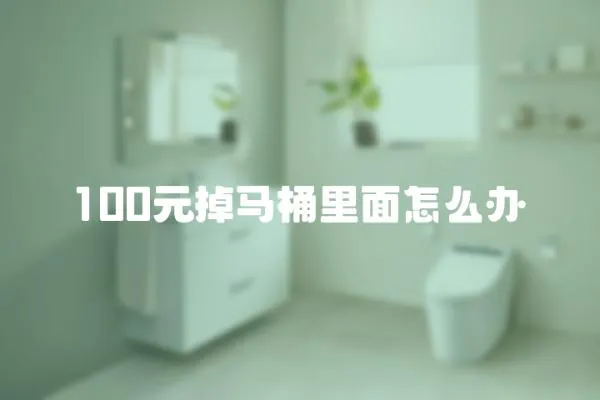 100元掉馬桶里面怎么辦