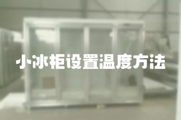 小冰柜設(shè)置溫度方法