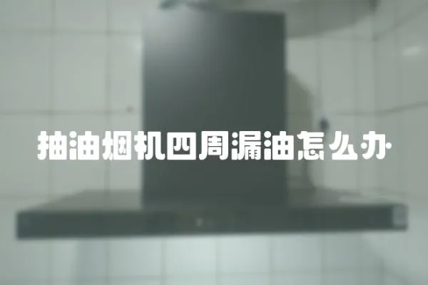 抽油煙機四周漏油怎么辦