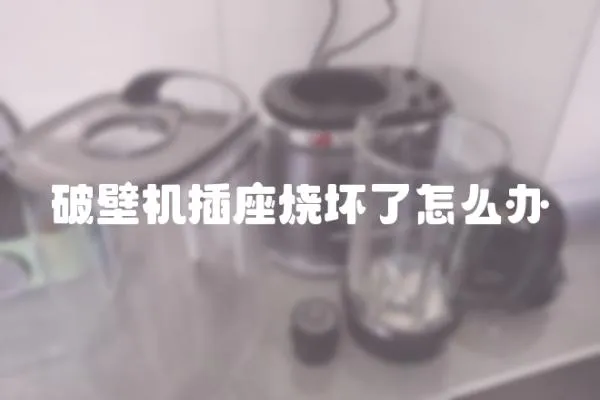 破壁機插座燒壞了怎么辦