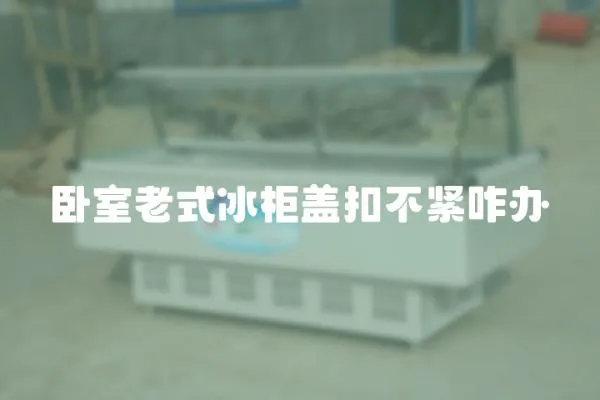 臥室老式冰柜蓋扣不緊咋辦