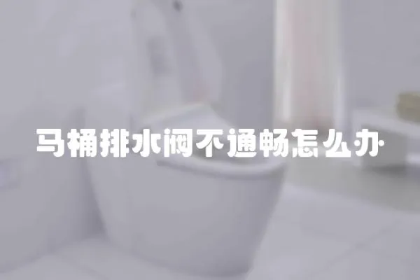 馬桶排水閥不通暢怎么辦