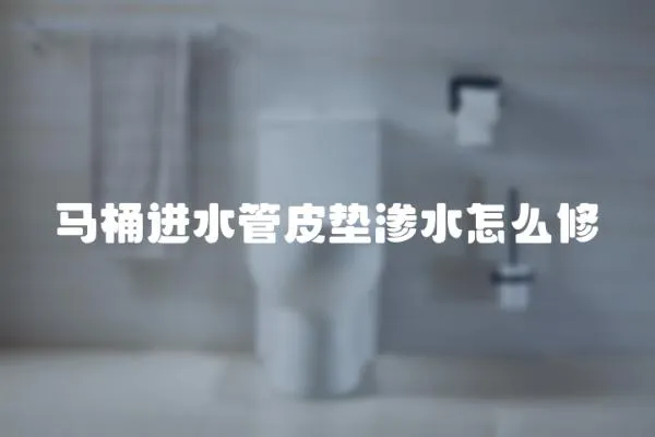馬桶進水管皮墊滲水怎么修
