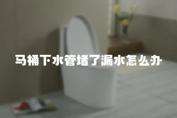 馬桶下水管堵了漏水怎么辦