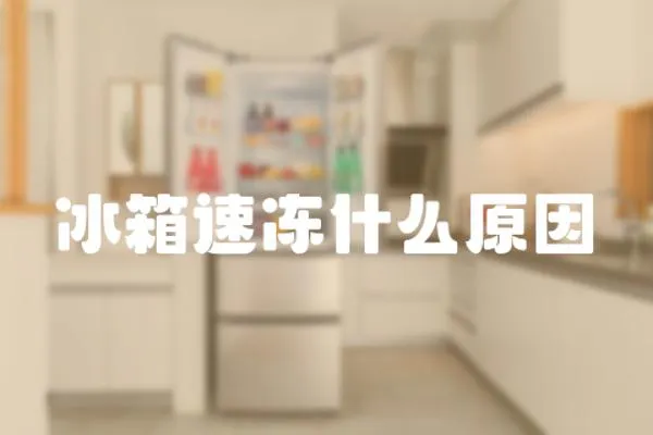 冰箱速凍什么原因