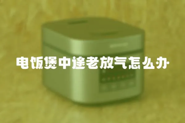 電飯煲中途老放氣怎么辦