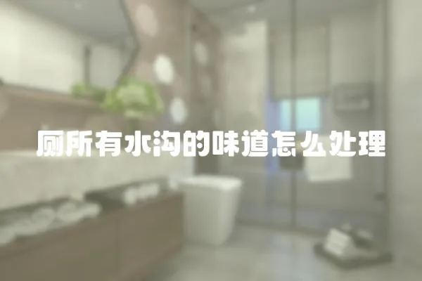 廁所有水溝的味道怎么處理