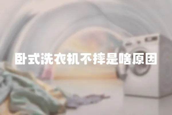 臥式洗衣機(jī)不摔是啥原因